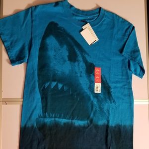 turquoise wave shark